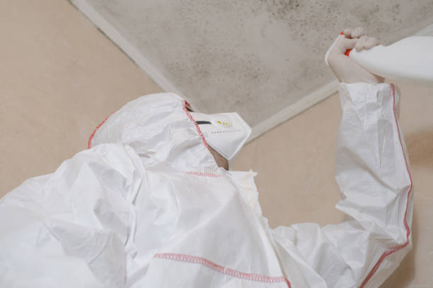 Best Mold Removal Company Near Me  in Gorman, TX